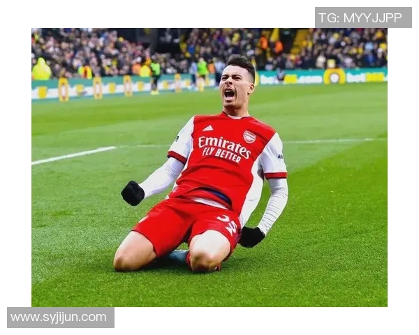 马丁内利的崛起之路：从青涩小将到足球明星的蜕变历程